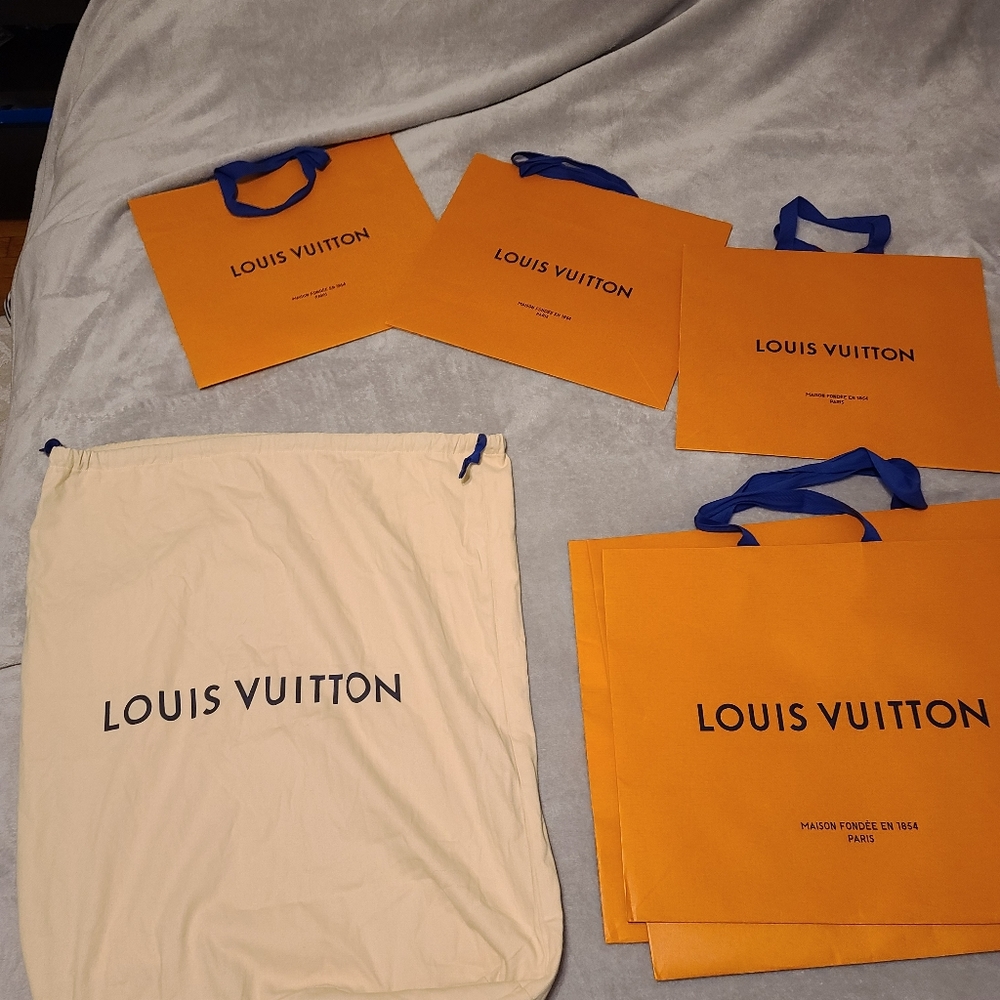 Louis Vuitton bag and dust bag